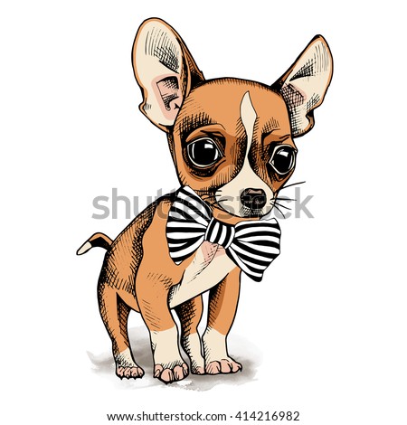 Puppy Chihuahua in a tie. Vector illustration.