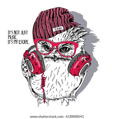 Young Owl