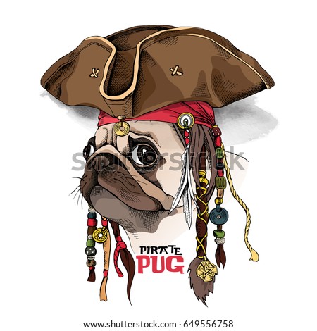 Portrait of a Pug in Pirate hat, bandana and with a dreadlocks. Vector illustration.