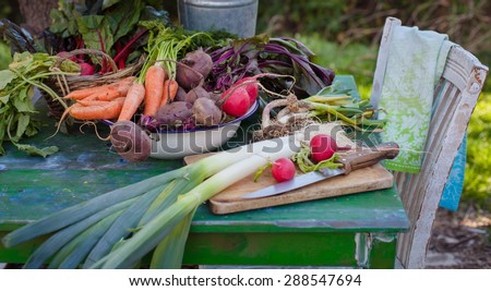 Balanced diet based on raw organic vegetables. Healthy food concept in garden.