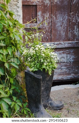 Summer bunch of flower on a old rubber boots situated aged shabby chic door in garden.