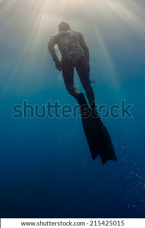 freediver swimming in mediterranean sea (Giglio Island, Tuscany)
