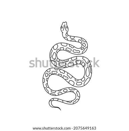 Vector isolated the coiled spotted snake black line contour drawing. Spotted snake, boa, anaconda black and white doodle sketch.