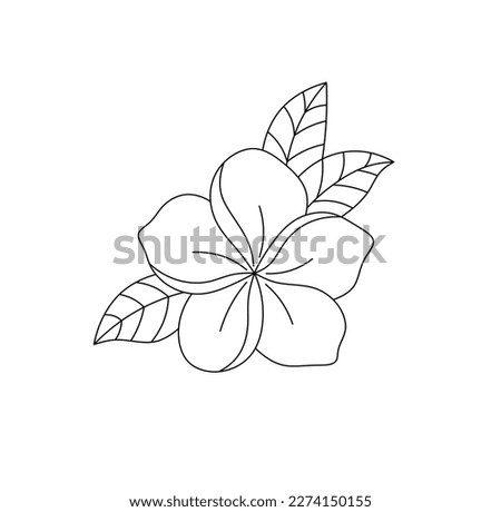 Hawaiian Flower Drawing | Free download on ClipArtMag