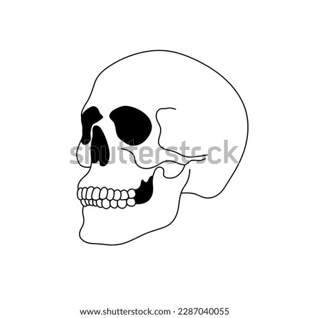 Vector isolated one single simplest smiling skull dead head isometric side view colorless black and white contour line easy drawing