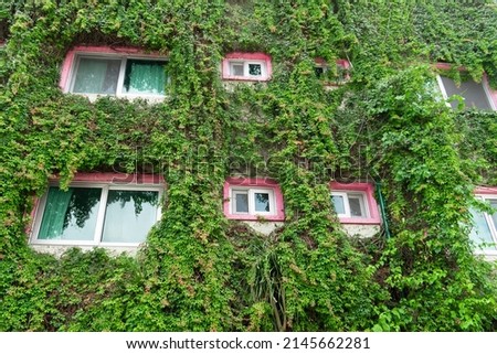 Similar – Image, Stock Photo Densely grown hedge with brick wall and garden fence