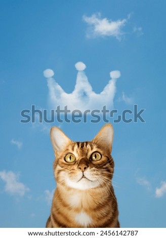 Image, Stock Photo Crown of clouds Sky Clouds