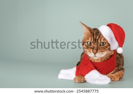 Similar – Image, Stock Photo Bengal Cat and Christmas Tree