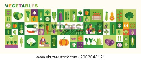 Set of vegetables illustrations: cabbage, broccoli, cucumber, tomato, zucchini, eggplant, carrot. Fresh healthy food. Vector icons in flat geometric style: veg, farmland, farmers and product boxes. 