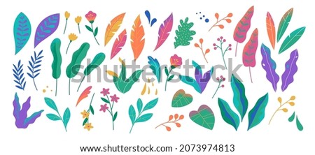 Abstract modern foliage collection. Botanical futuristic elements isolated on a white background. Vector illustrations in flat style. Branches, wild flowers, palm leaves, berries and grass.