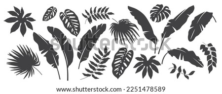 Similar – Image, Stock Photo banana leaf background