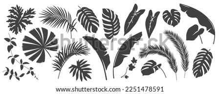 Abstract foliage elements isolated on a white background. Tropical leaves set. Collection of black and white graphic silhouettes. 