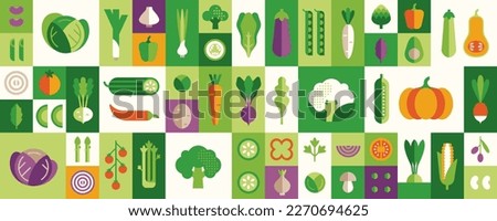 Vegetable illustration set: cabbage, broccoli, cucumber, tomato, zucchini, eggplant, carrot. Fresh healthy food. Vector icons in flat geometric style.