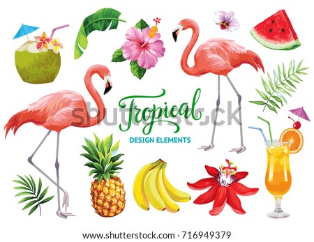 Tropical collection for summer beach party: exotic flowers, leaves, cocktails, flamingos and fruits. Vector design isolated elements on the white background.