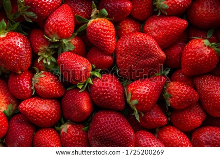 Red ripe strawberries background. Close up, top view.