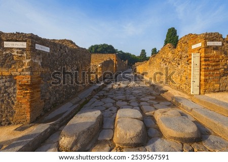 Similar – Image, Stock Photo View from Vesuvius to Naples