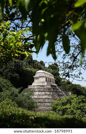 The Maya Ruins of Mexico