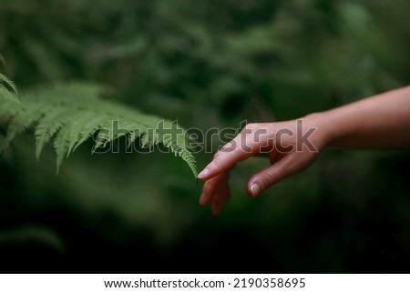 Similar – Foto Bild grüne Farnblätter an einem Holzsteg über einem Bach