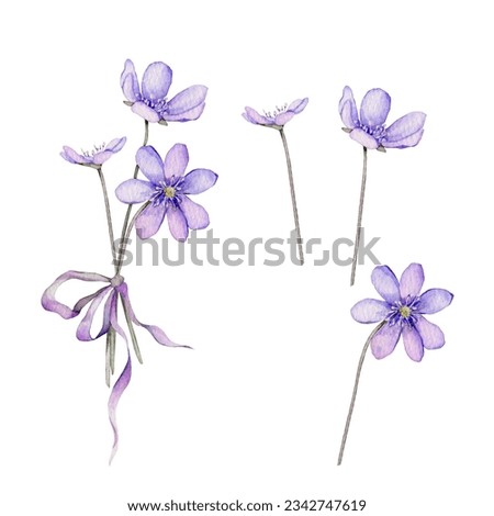 Similar – Image, Stock Photo purple liverwort on the forest floor from the bird’s eye view