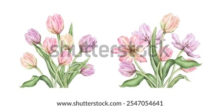 Similar – Image, Stock Photo Tulips frame with purple petals at white background. Seasonal springtime flowers