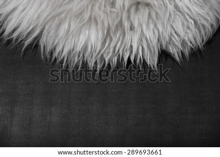 White fur texture on black fabric background