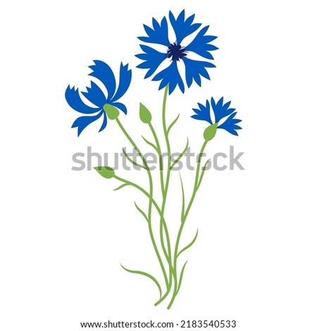 Similar – Image, Stock Photo Blue Cornflower with a green background