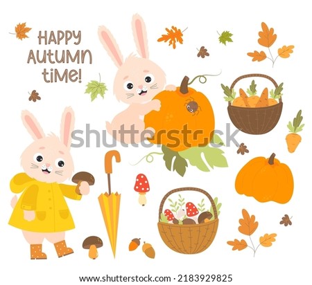 Set Happy autumn time. Cute rabbit in raincoat and rubber boots collects mushrooms and bunny with big pumpkin. Basket with mushrooms, carrots and falling autumn leaves. Vector illustration. Isolated