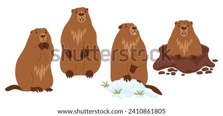 Collection Groundhogs. Rodent animal in snow, marmot stands and looking out of an earthen hole. Cute Isolated characters for Groundhog Day holiday design on February 2. vector illustration.
