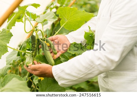 Plant Technologist