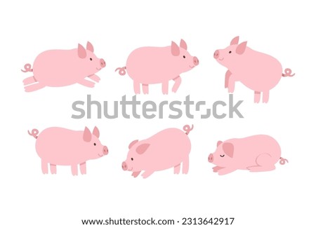 Image, Stock Photo Cute piglet in farm. Sad and healthy small pig. Livestock farming. Meat industry. Animal meat market. African swine fever and swine flu concept. Swine breeding. Mammal animal. Pink piglet in pigsty.