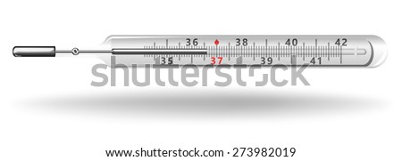 Mercury Thermometer Vector. Illustration on White Background