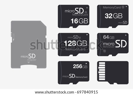 Top View Micro SD to SD Memory Card Adapter. Memory Chip Isolated on White Background