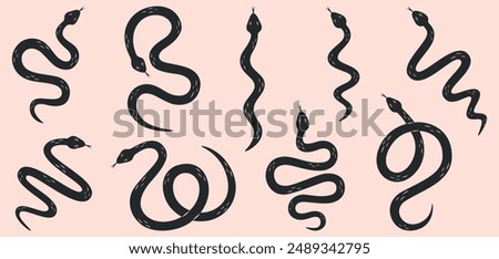 Snake silhouettes set. Black and white color textured hand drawn snakes with different shapes. Wild animals or nature theme. Symbol of 2025 New Year. Vector illustration. 