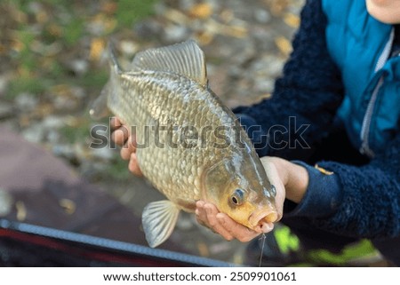 Similar – Image, Stock Photo child holding a fish and showing it to the camera