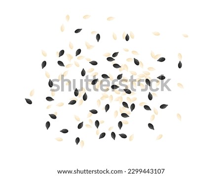 Top view of black and white sesame seeds splashing on the floor, flat vector illustration.