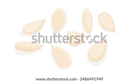 White sesame seeds isolated on white background in flat vector illustration.