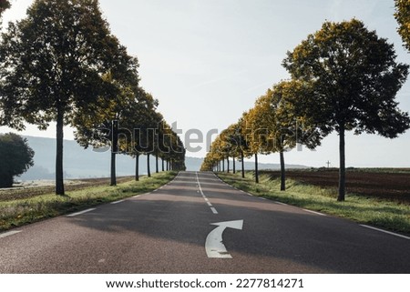 Image, Stock Photo Tree-lined path off Street