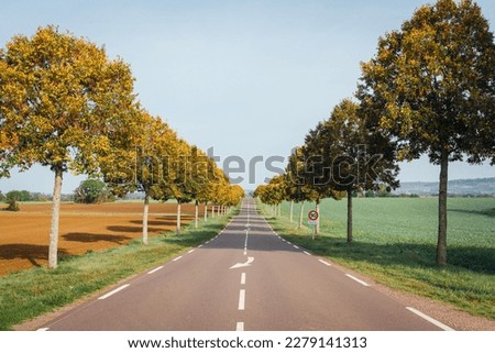 Similar – Image, Stock Photo Tree-lined path off Street