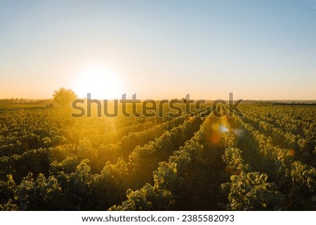 Image, Stock Photo Landscape in Burgundy