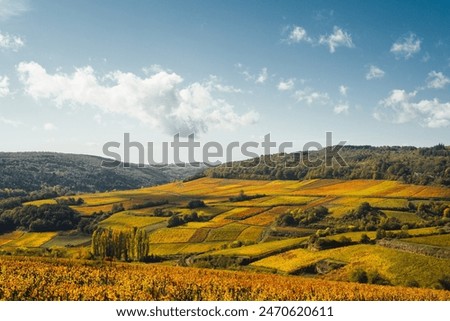 Similar – Image, Stock Photo Landscape in Burgundy