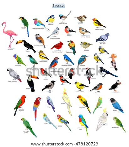 big set birds. birds flying, animals, bird silhouette, bird vector.Abstract art bird, Logo birds icon set vector illustration, set birds vector.