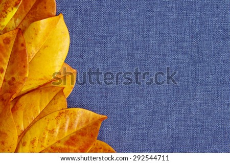 Yellow tropical leaves on a blue fabric background.