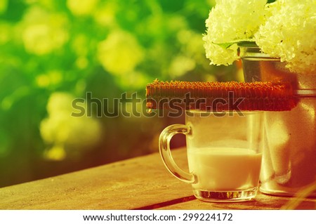 Cup with milk, bee honeycombs and flowers of a hydrangea on a table in a summer sunny day against greens. Still life in warm summer colors