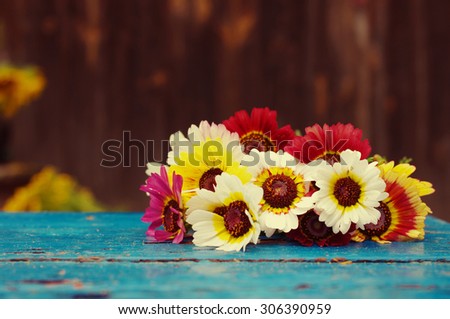 Summer colorful flowers on vintage wooden turquoise background. Summer background with flowers