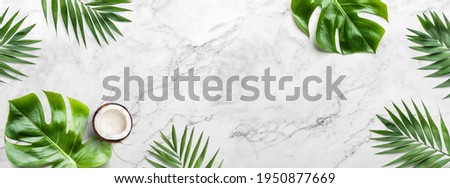 Tropical leaves, Monstera plants and coconut on light marble background. Summer concept, flat lay, top view