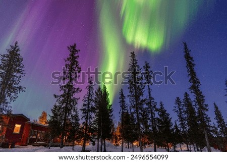 Similar – Foto Bild Szenische Nordlichter bei Nacht in bergigem Terrain