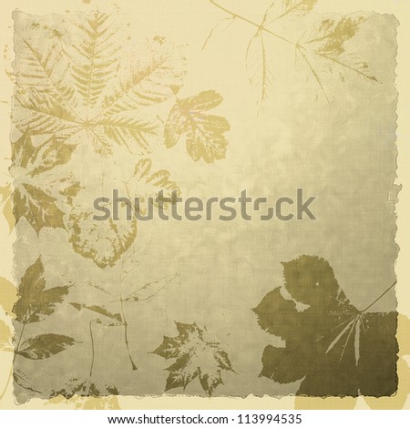 art autumn leaves on pastel sepia background card