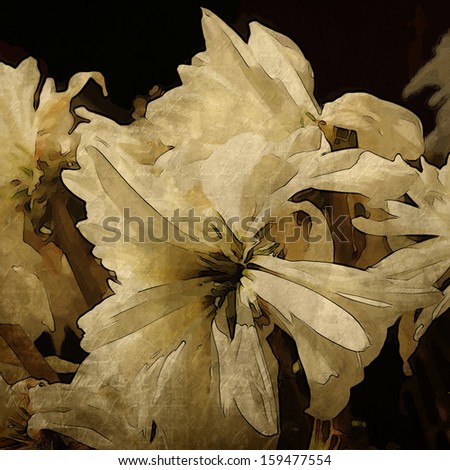 art floral vintage sepia background with white asters