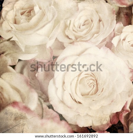 art floral vintage sepia background with white roses