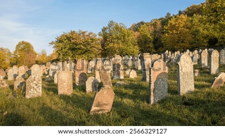 Similar – Image, Stock Photo Jewish tombstone Autumn